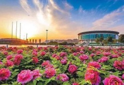 洛阳植物园爆料视频最新,探秘植物王国，邂逅自然奇观